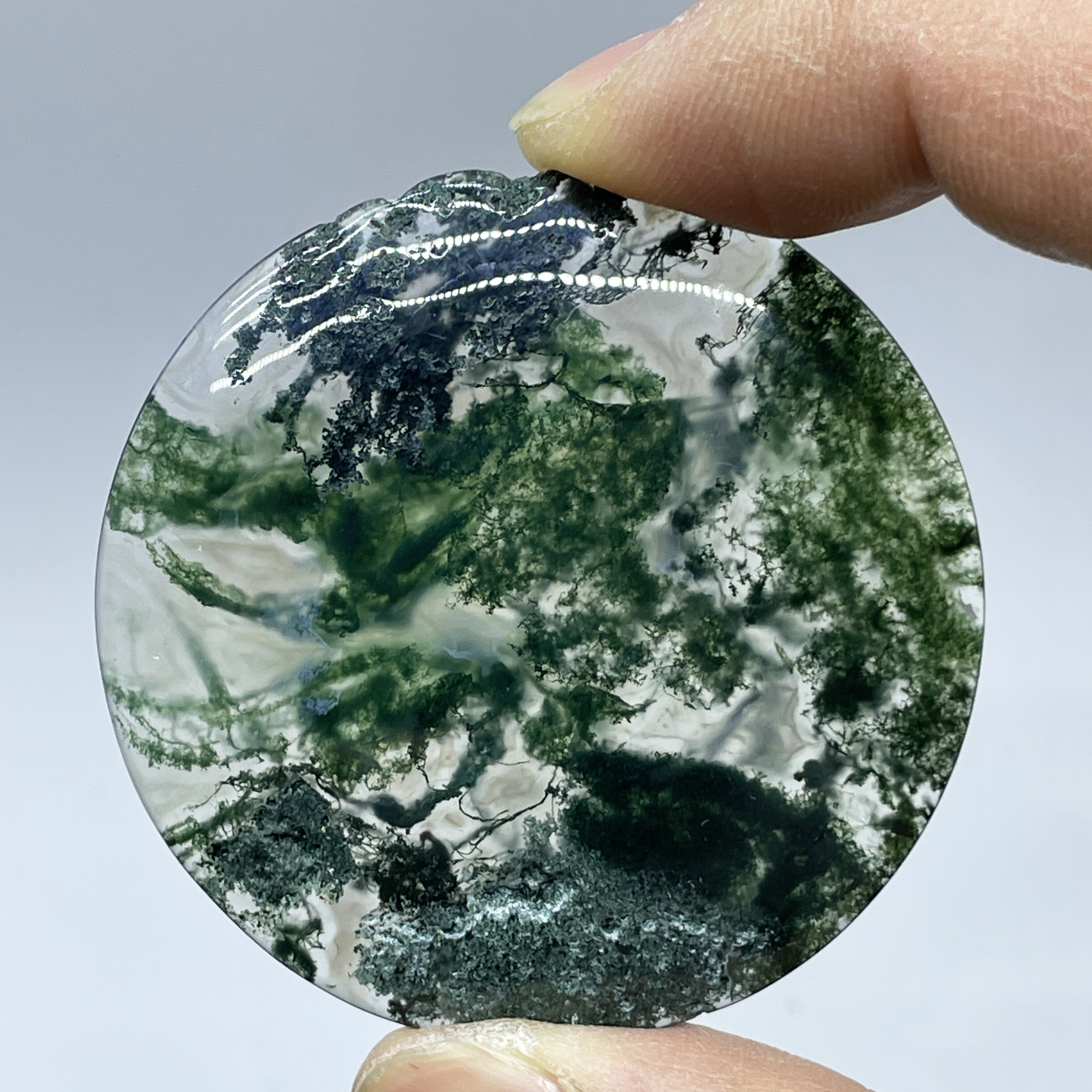 Terrarium Moss Art - Natural Crystal Moss Agate Water Drop