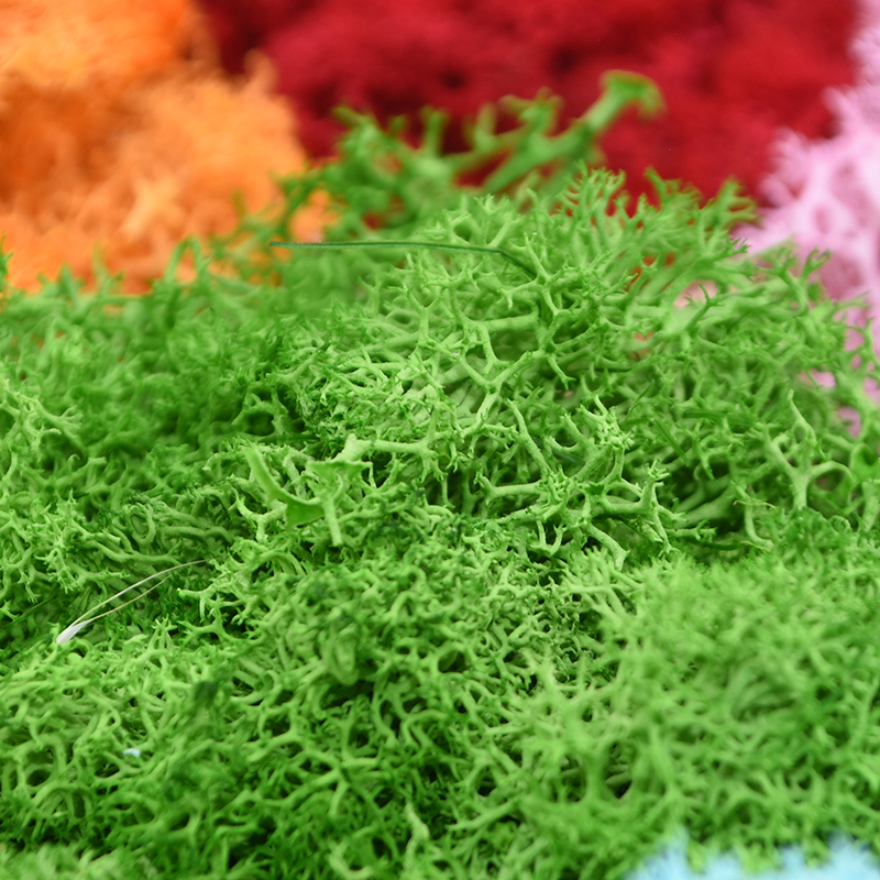 20/40g Artificial Green Plants - Terrarium Moss Art reseña y precio