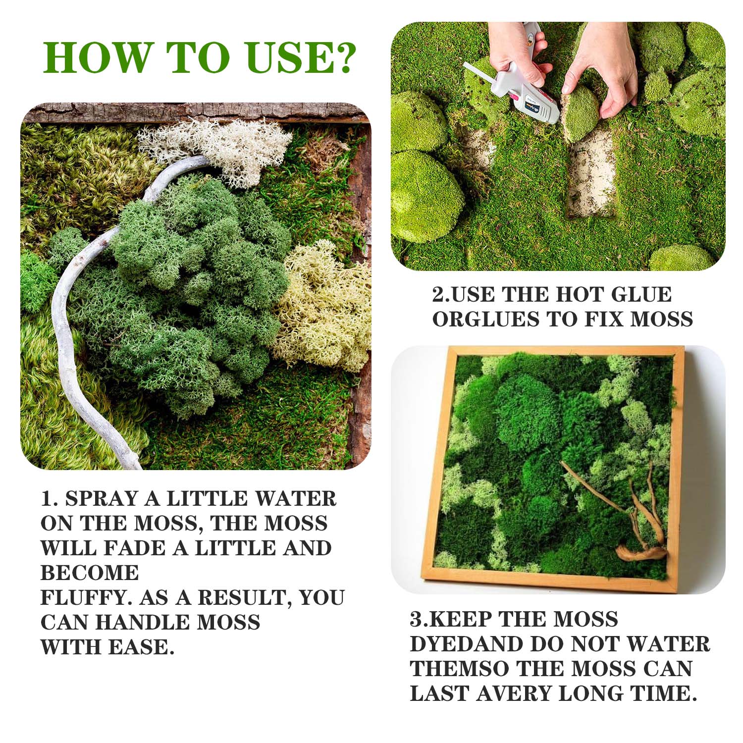 Artificial Green Plants Eterna - Terrarium Moss Art reseña y precio