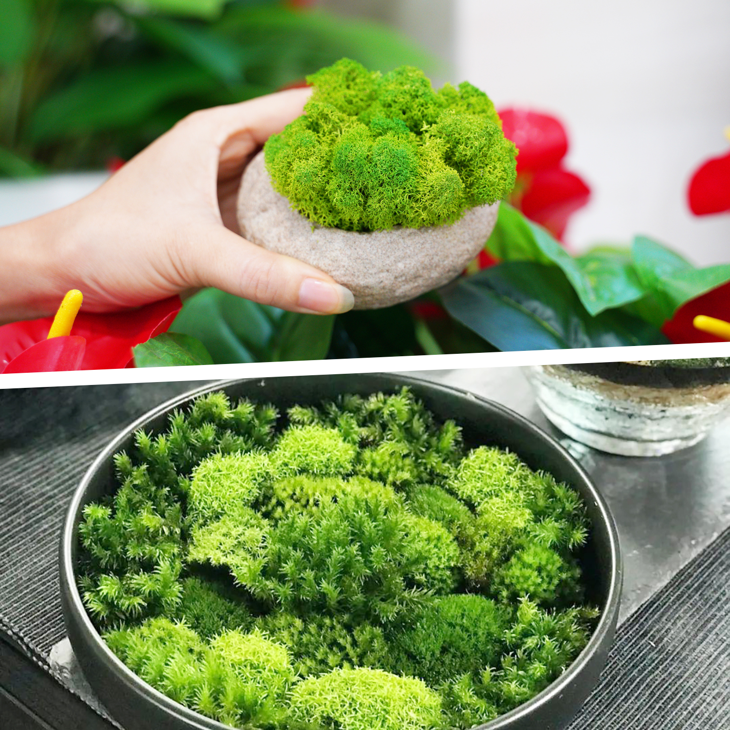 Artificial Green Plants Eterna - Terrarium Moss Art reseña y precio