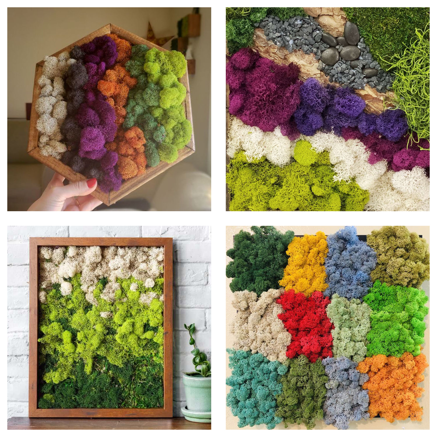 Artificial Green Plants Eterna - Terrarium Moss Art reseña y precio