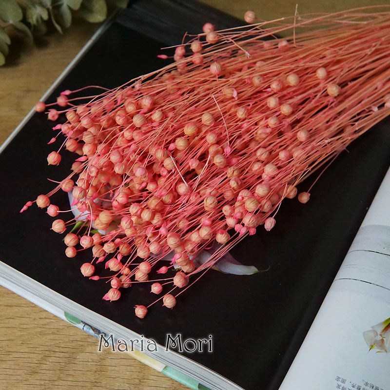 35g/Preserved Ormosia Hosiei N - Dried Flower Bulk reseña y precio