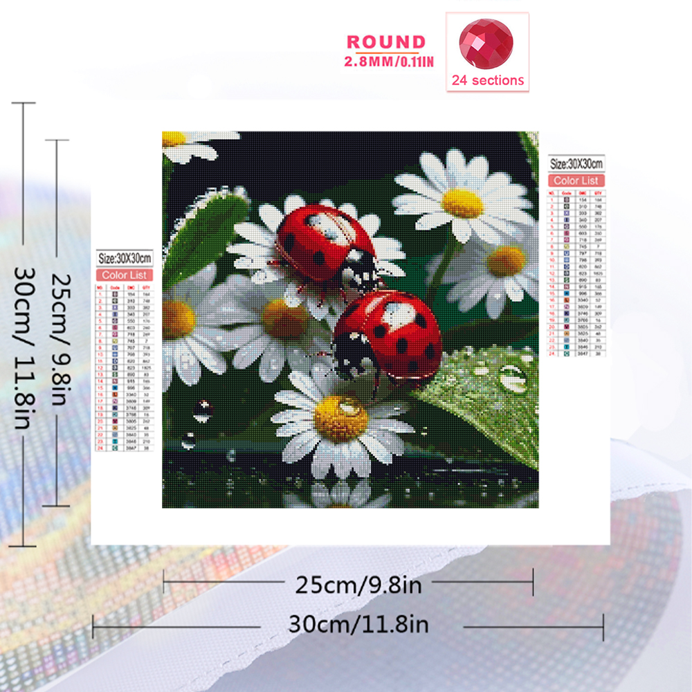 Momoart Diamond Painting Ladyb - Resin Craft For Beginners reseña y precio