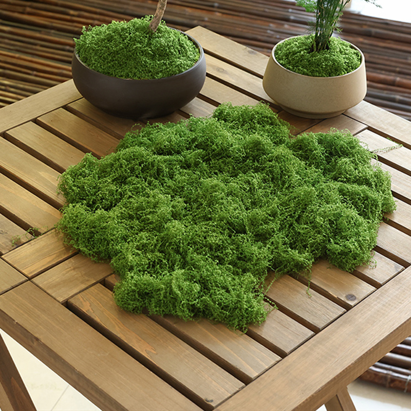 about 20g Artificial Green Pla - Terrarium Moss Art reseña y precio