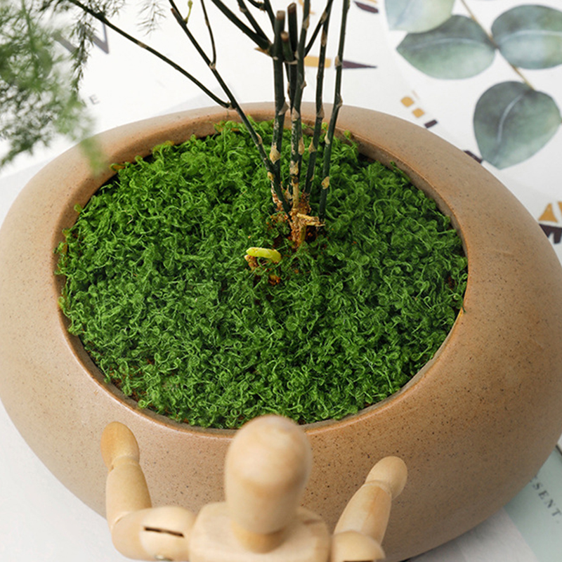 about 20g Artificial Green Pla - Terrarium Moss Art reseña y precio