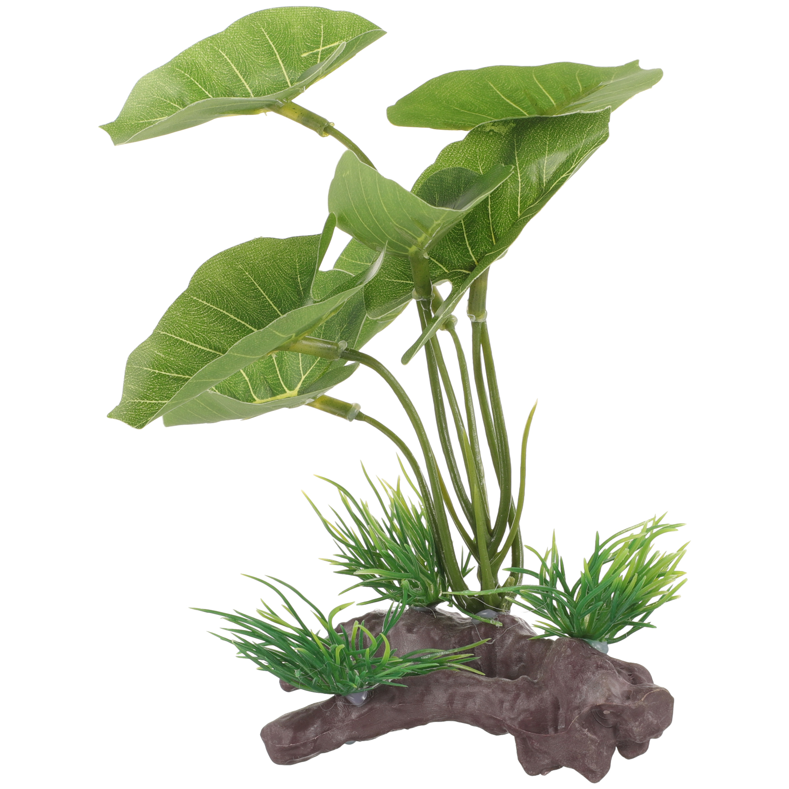 Fish Tank Artificial Water Pla - Terrarium Moss Art reseña y precio