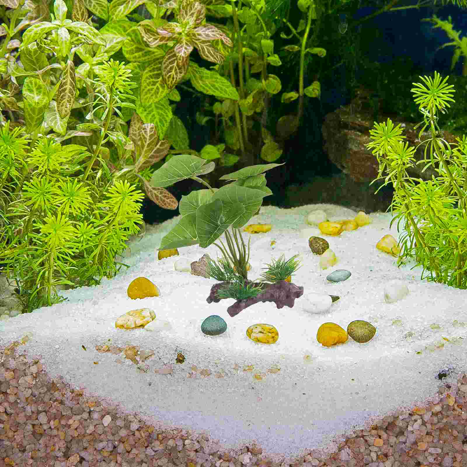 Fish Tank Artificial Water Pla - Terrarium Moss Art reseña y precio