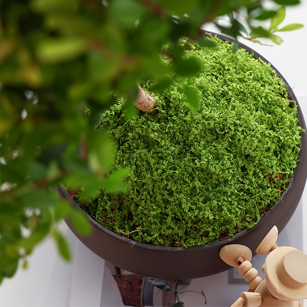 1pack Artificial Fake Moss, 1. - Terrarium Moss Art reseña y precio