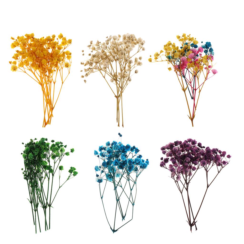 Pressed Dried Natural Flowers  - Resin Craft Ideas reseña y precio