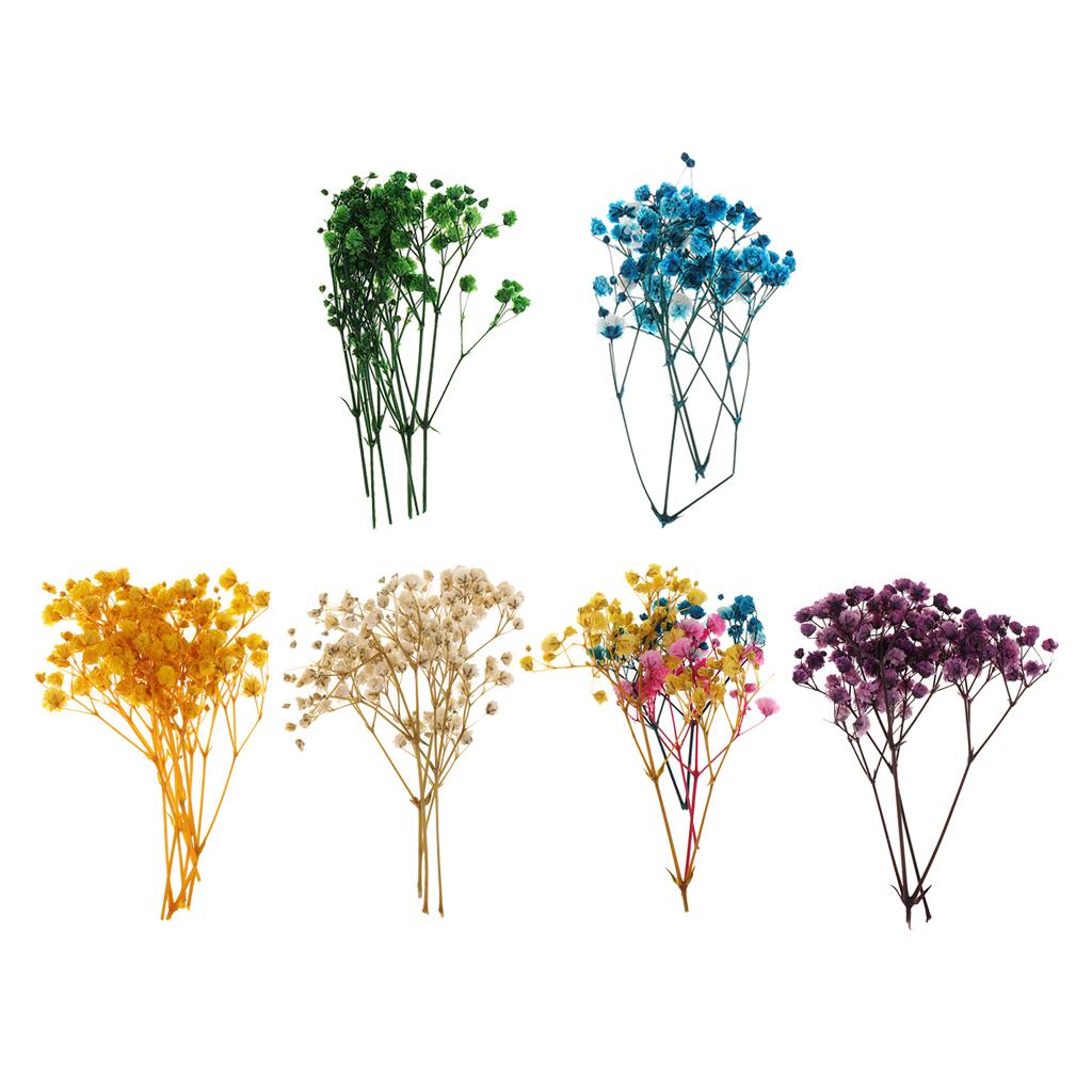 Pressed Dried Natural Flowers  - Resin Craft Ideas reseña y precio