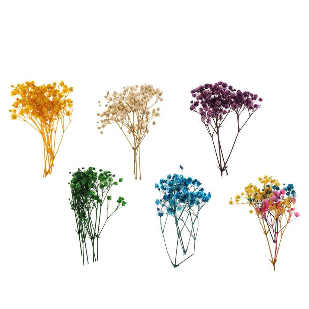 Pressed Dried Natural Flowers  - Resin Craft Ideas reseña y precio
