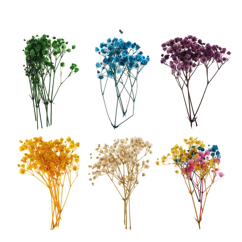 Pressed Dried Natural Flowers  - Resin Craft Ideas reseña y precio