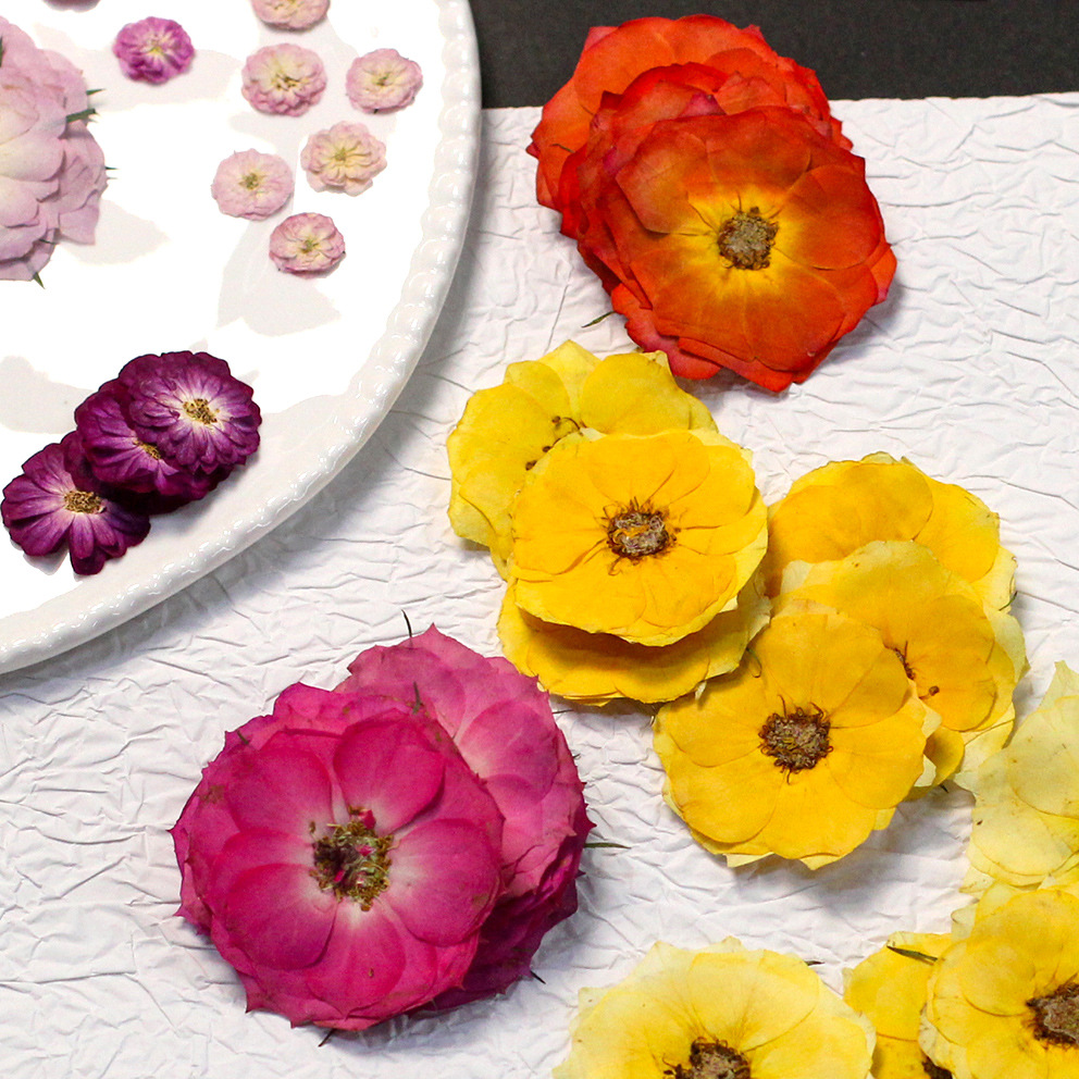 48 Yellow Mixed-Size Pressed R - Dried Flower Bulk reseña y precio