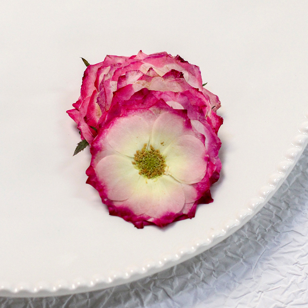 48 Yellow Mixed-Size Pressed R - Dried Flower Bulk reseña y precio