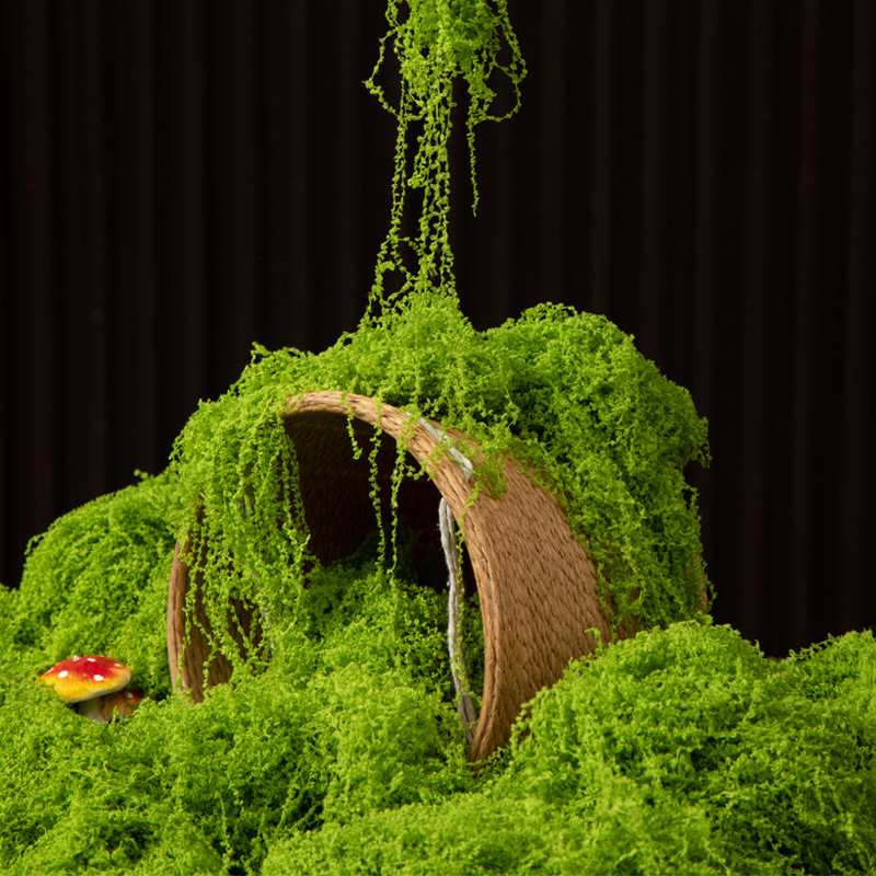200g Eternal Life Moss DIY Cra - Terrarium Moss Art reseña y precio