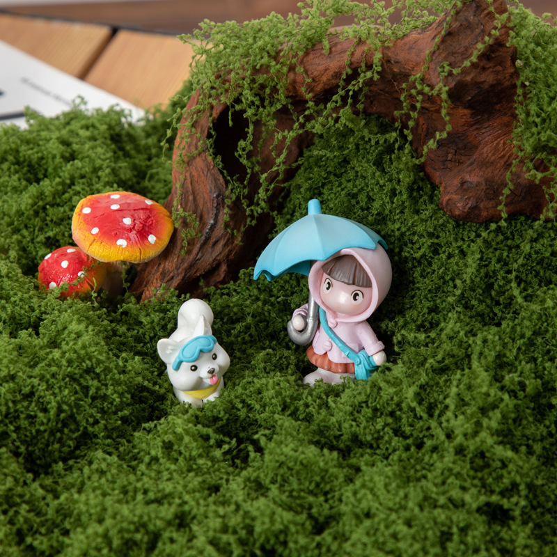 200g Eternal Life Moss DIY Cra - Terrarium Moss Art reseña y precio
