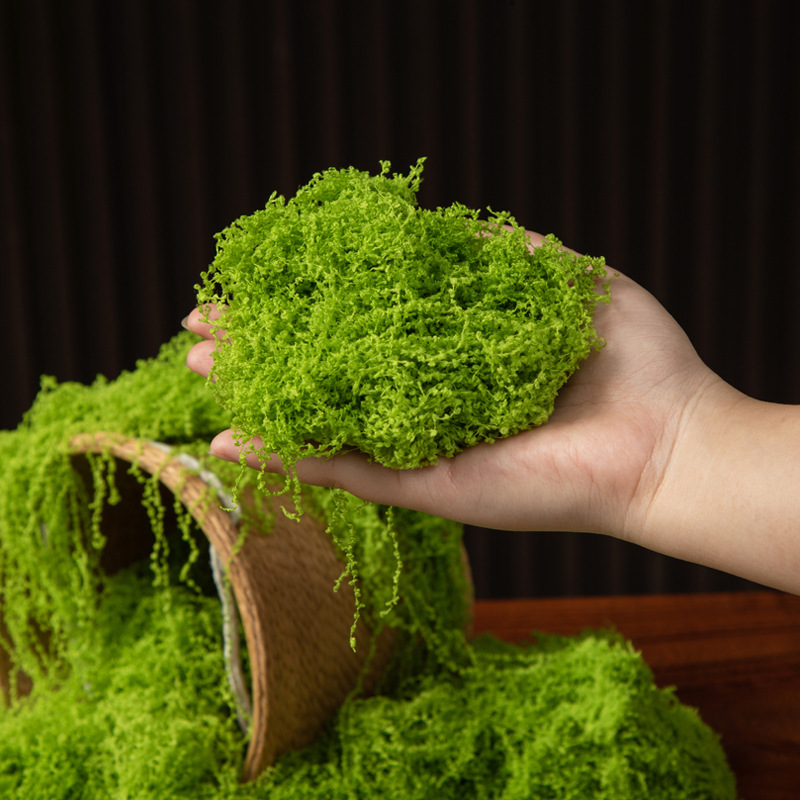 200g Eternal Life Moss DIY Cra - Terrarium Moss Art reseña y precio