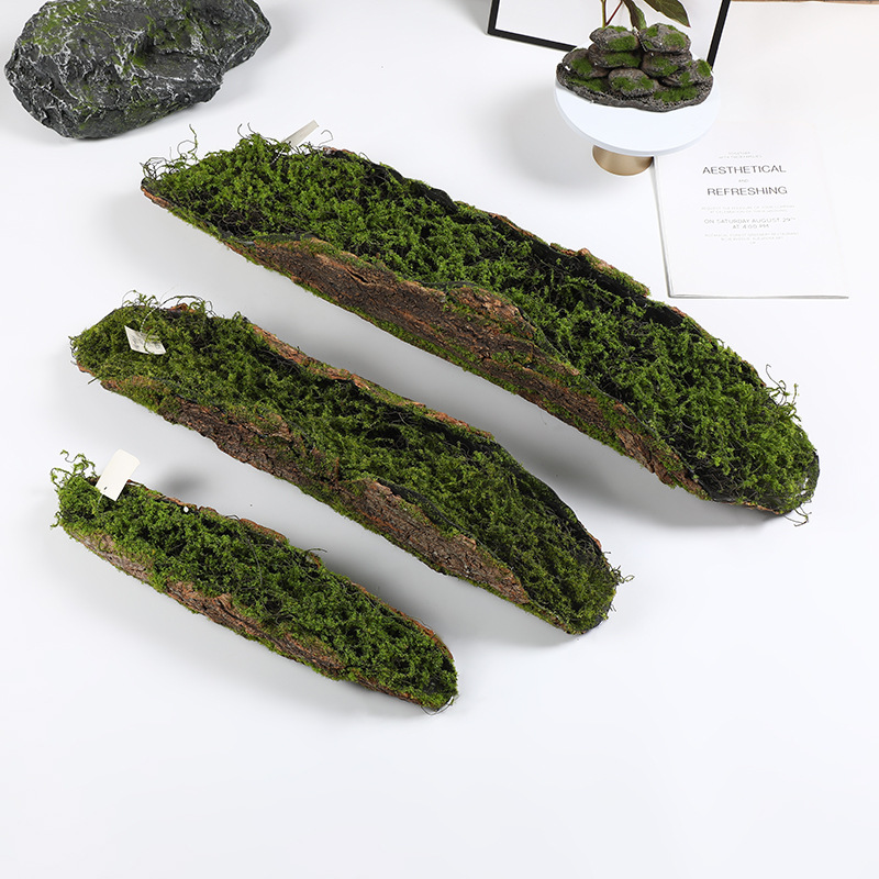 Creative Bark Moss Moss Artifi - Terrarium Moss Art reseña y precio