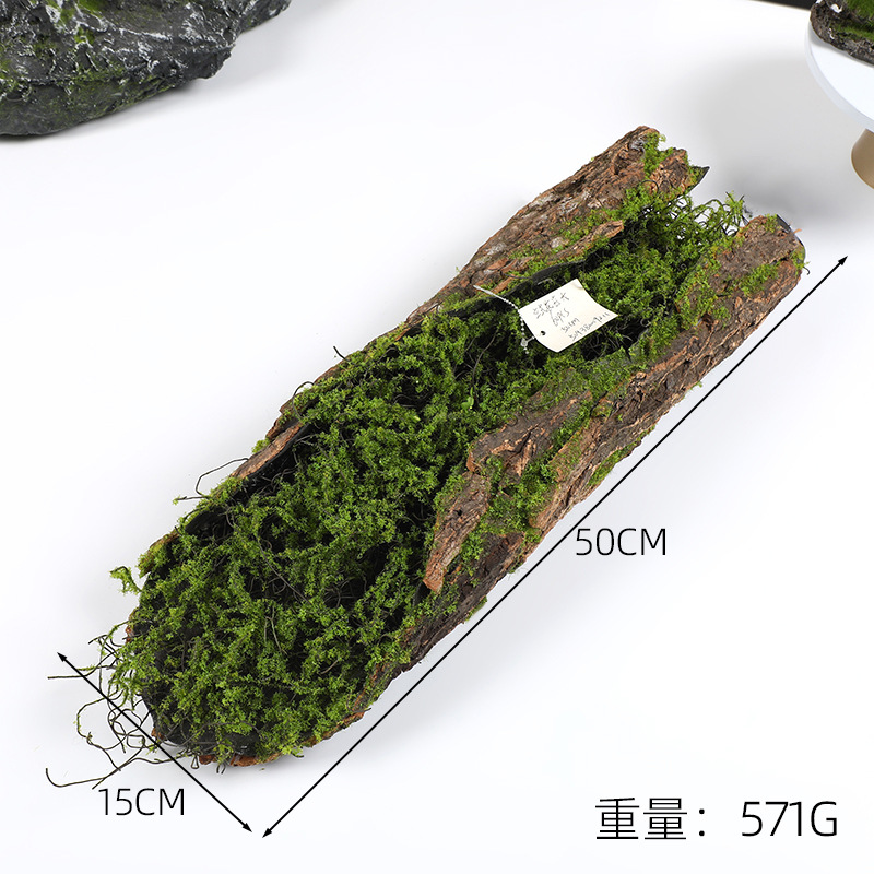 Creative Bark Moss Moss Artifi - Terrarium Moss Art reseña y precio