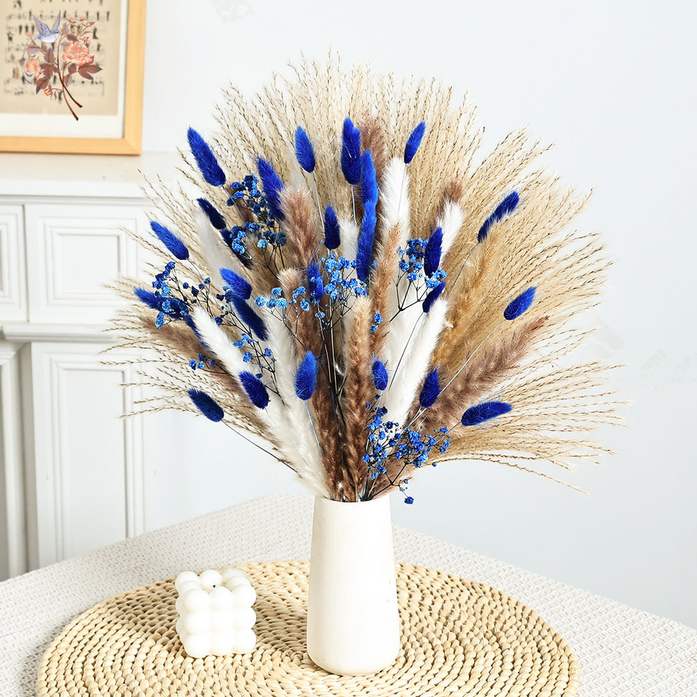70 Stem Blue Fluffly Rabbit Ta - Dried Flower Bulk reseña y precio