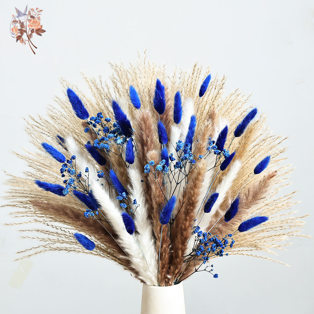 70 Stem Blue Fluffly Rabbit Ta - Dried Flower Bulk reseña y precio