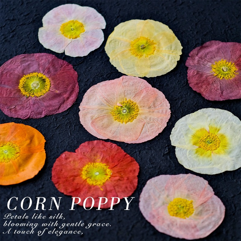 1pcs,Nature Field Poppy Presse - Resin Craft Ideas reseña y precio