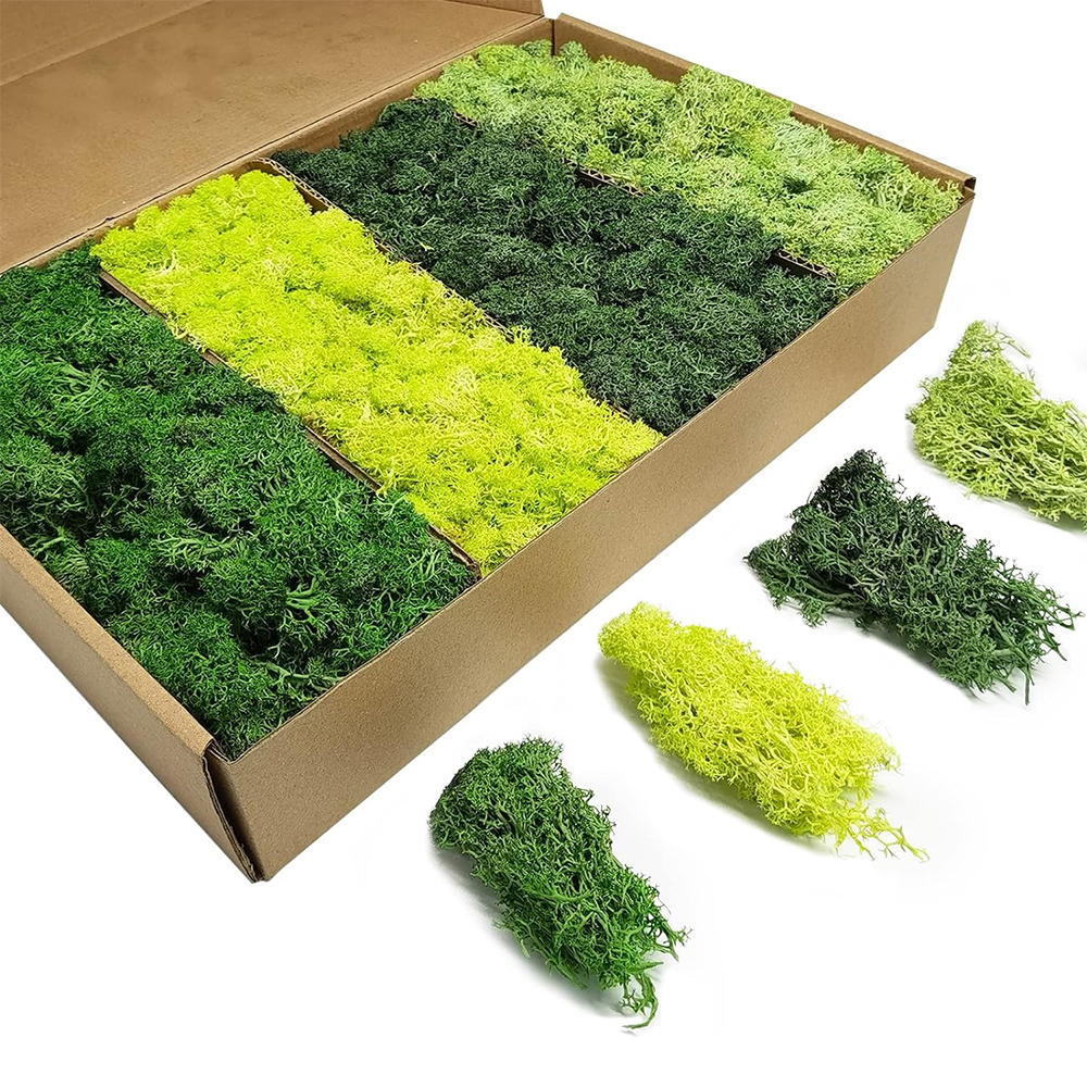Artificial Green Plants Eterna - Terrarium Moss Art reseña y precio
