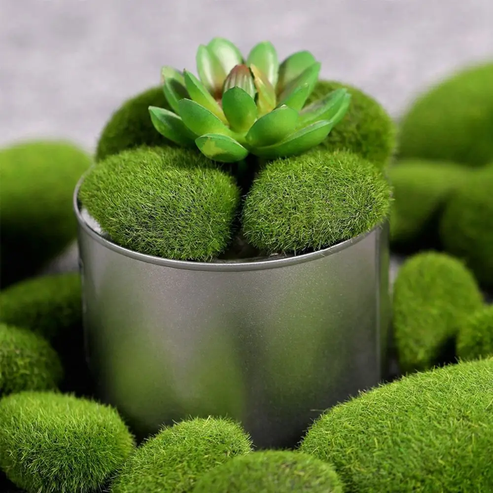 Floral Arrangements Fake Stone - Terrarium Moss Art reseña y precio