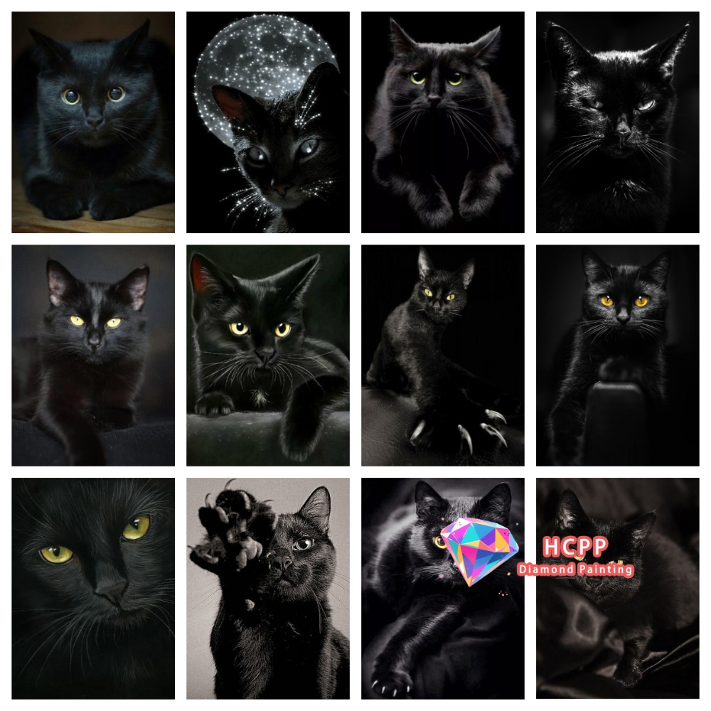 unframe Black Cat Animal Diamo - Resin Craft Kit reseña y precio