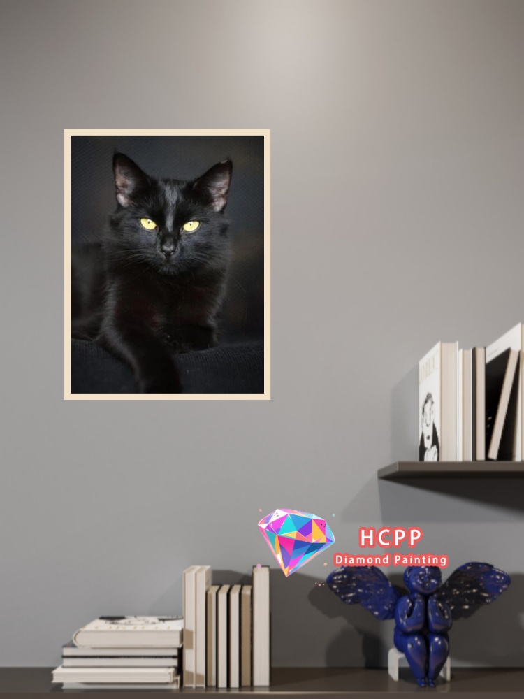 unframe Black Cat Animal Diamo - Resin Craft Kit reseña y precio