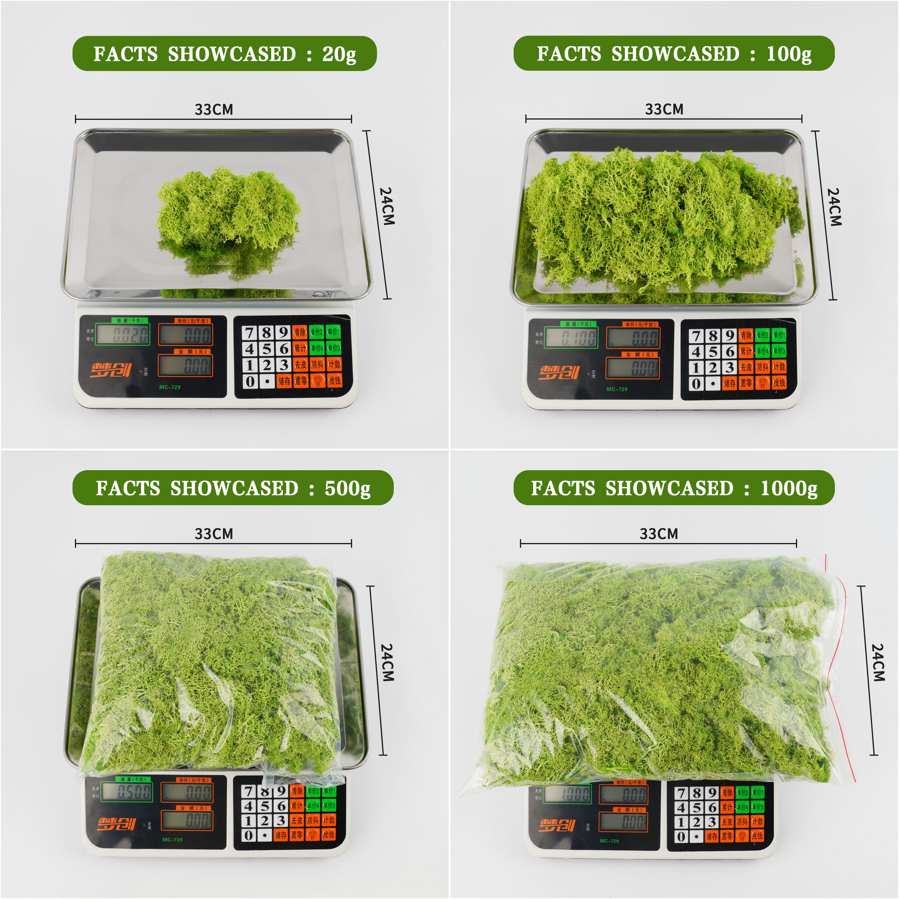 20/40/100g Eternal Life Moss D - Terrarium Moss Art reseña y precio