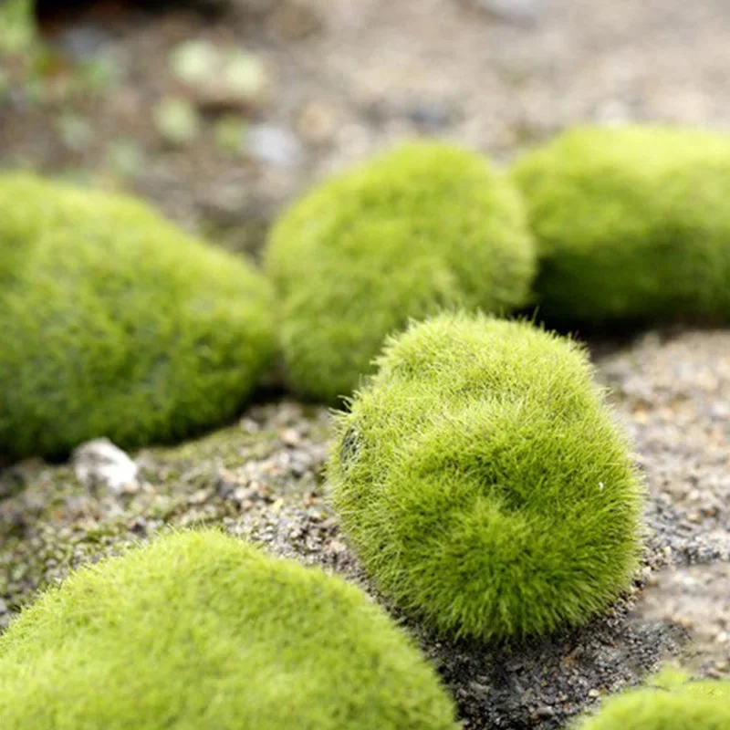 Fake Stone Artificial Moss Roc - Terrarium Moss Art reseña y precio