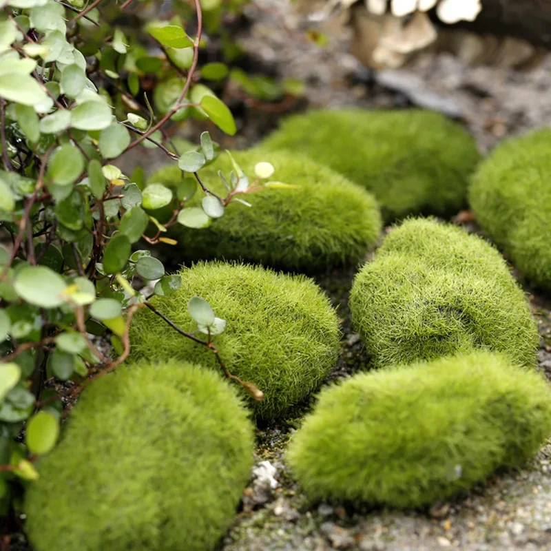 Fake Stone Artificial Moss Roc - Terrarium Moss Art reseña y precio