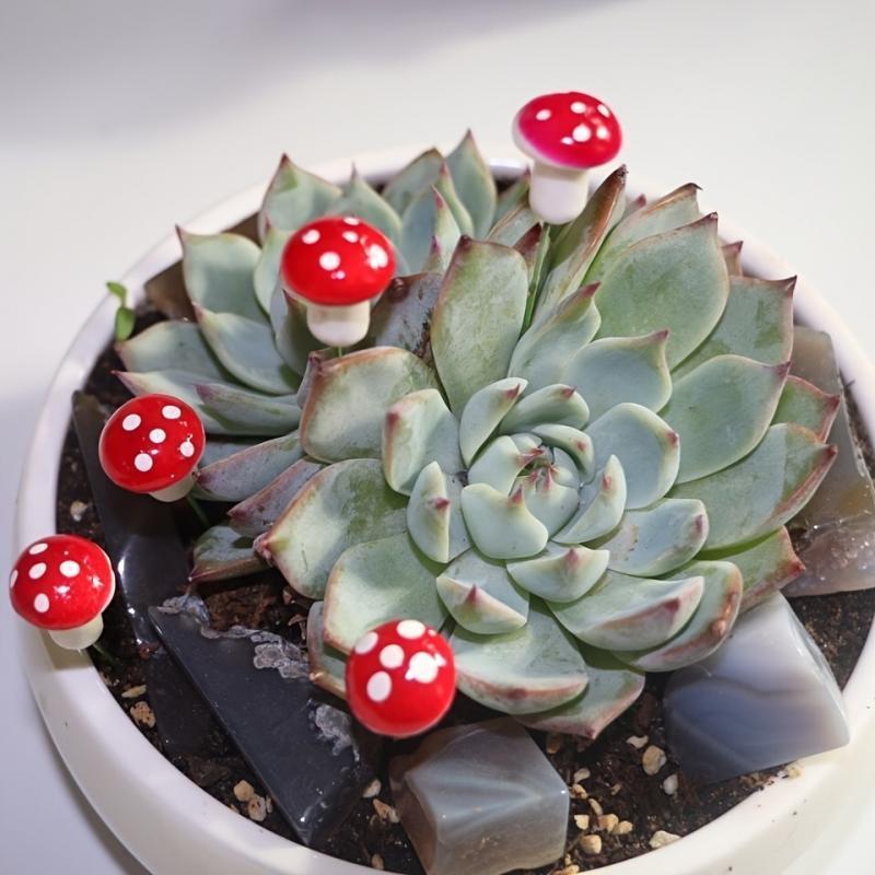 10-80PCS Mini Color Mushroom D - Terrarium Moss Art reseña y precio