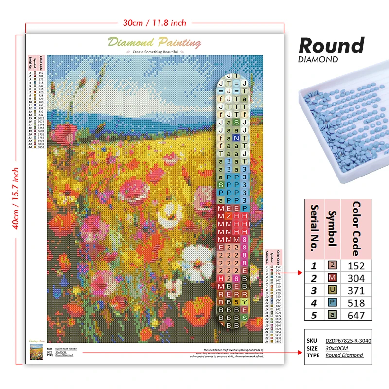 1pc frameless 5D Diamond Paint - Resin Craft For Beginners reseña y precio