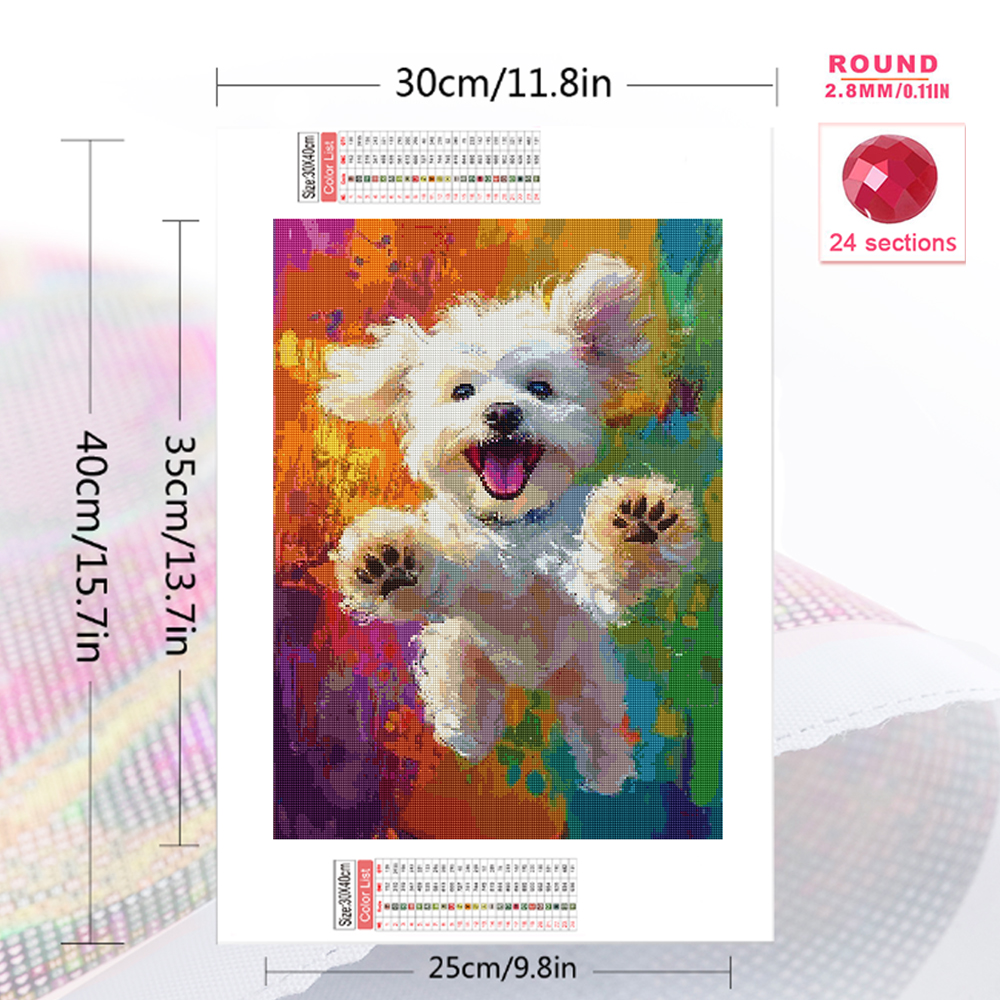 Momoart DIY Diamond Painting D - Resin Craft For Beginners reseña y precio