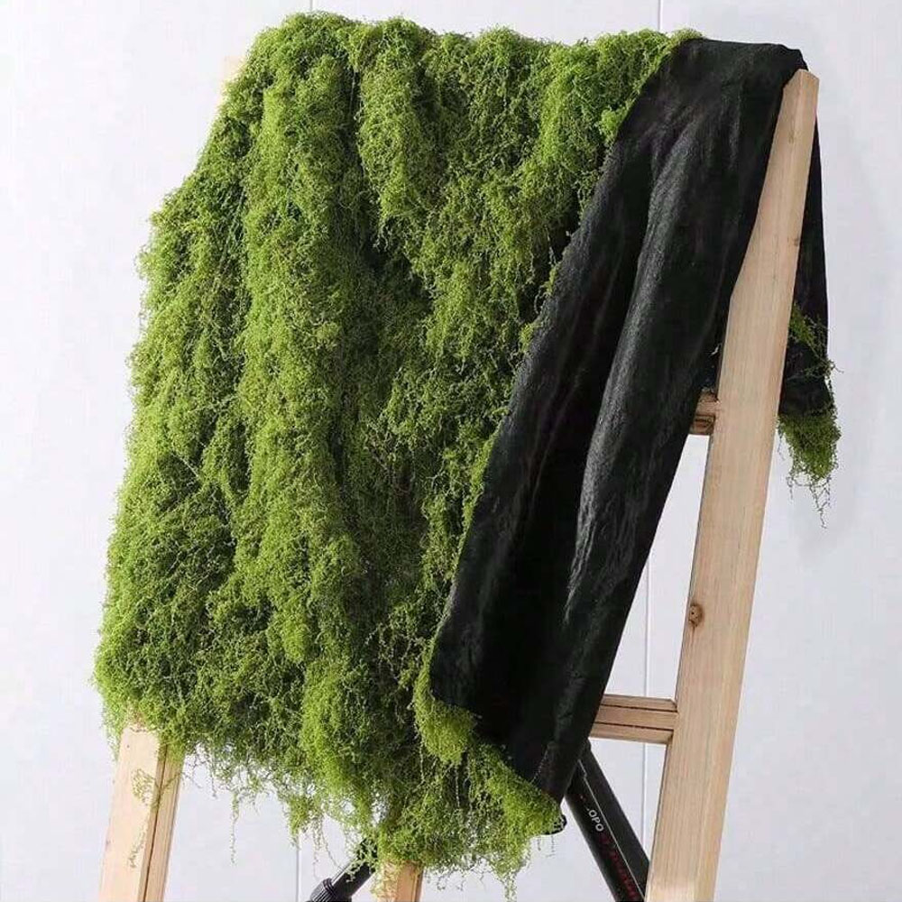 1*1m Fake Moss DIY Crafts Gras - Terrarium Moss Art reseña y precio