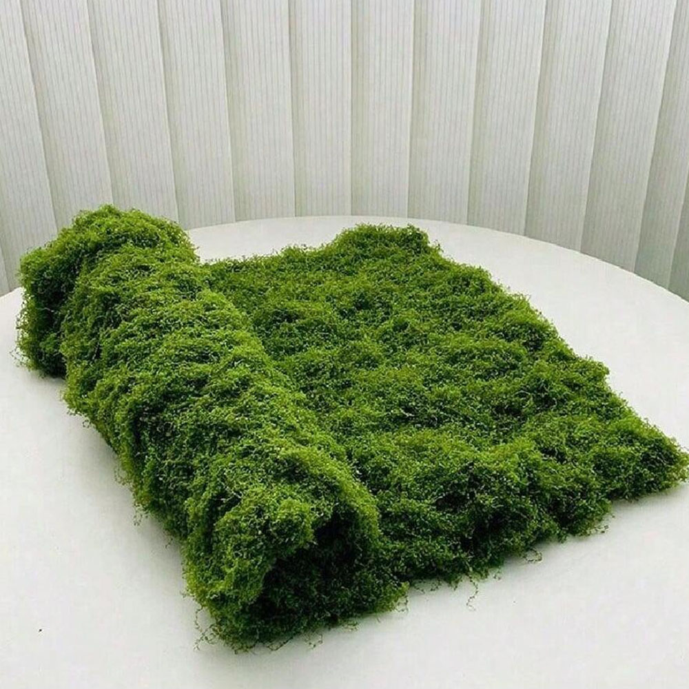 1*1m Fake Moss DIY Crafts Gras - Terrarium Moss Art reseña y precio