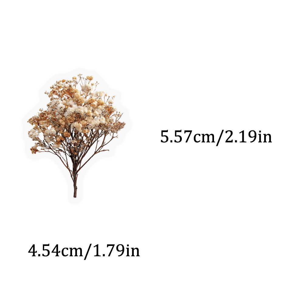 50PCS Retro Color Dried Flower - Dried Flower Bulk reseña y precio