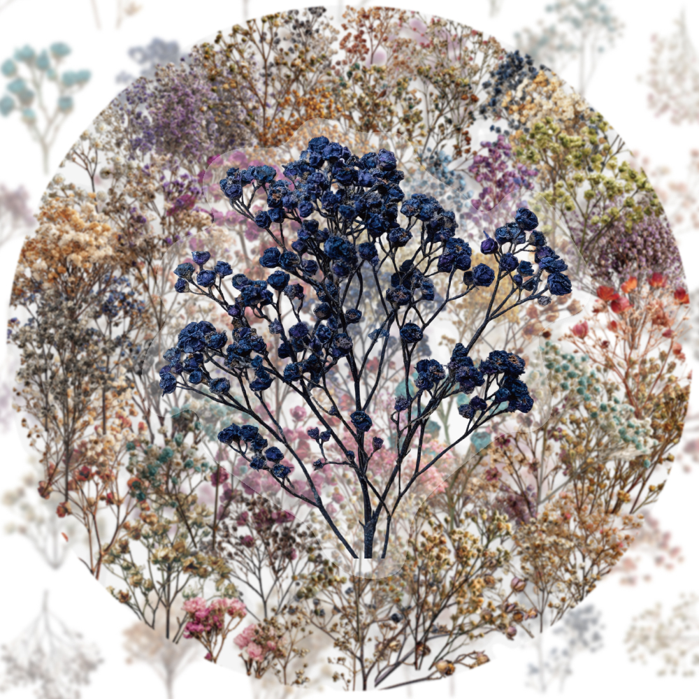 50PCS Retro Color Dried Flower - Dried Flower Bulk reseña y precio