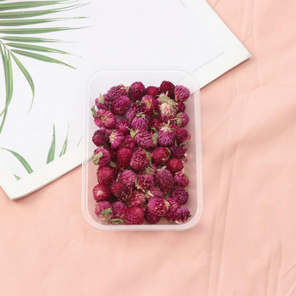Natural Flowers Diy Dried Flow - Dried Flower Bulk reseña y precio