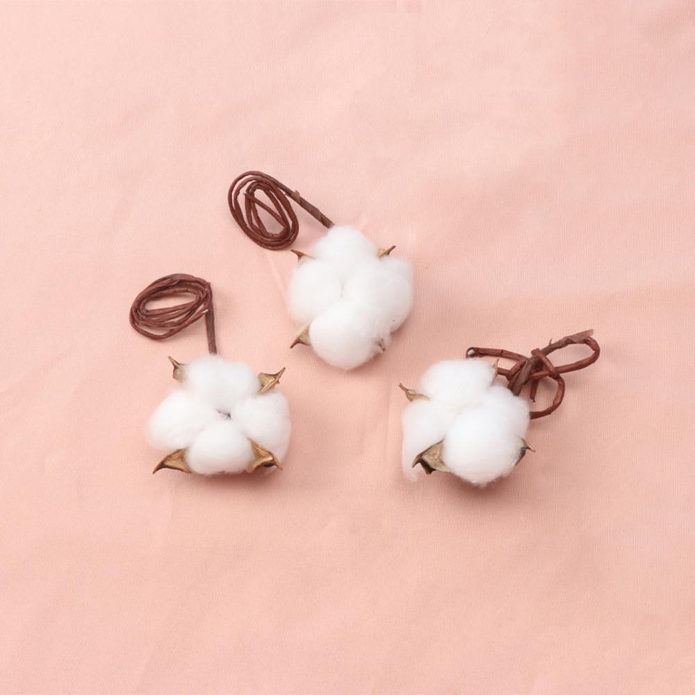 Natural Flowers Diy Dried Flow - Dried Flower Bulk reseña y precio