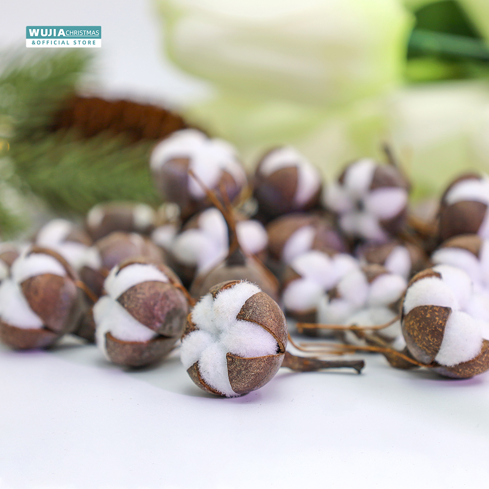 12pcs Artificial Kapok Natural - Dried Flower Bulk reseña y precio