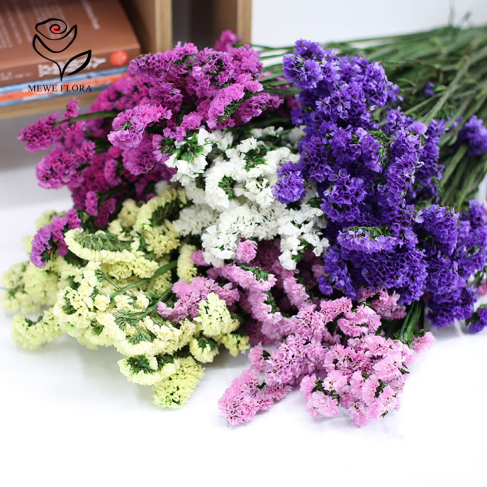 100g Dried Forget Me Not Flowe - Dried Flower Bulk reseña y precio