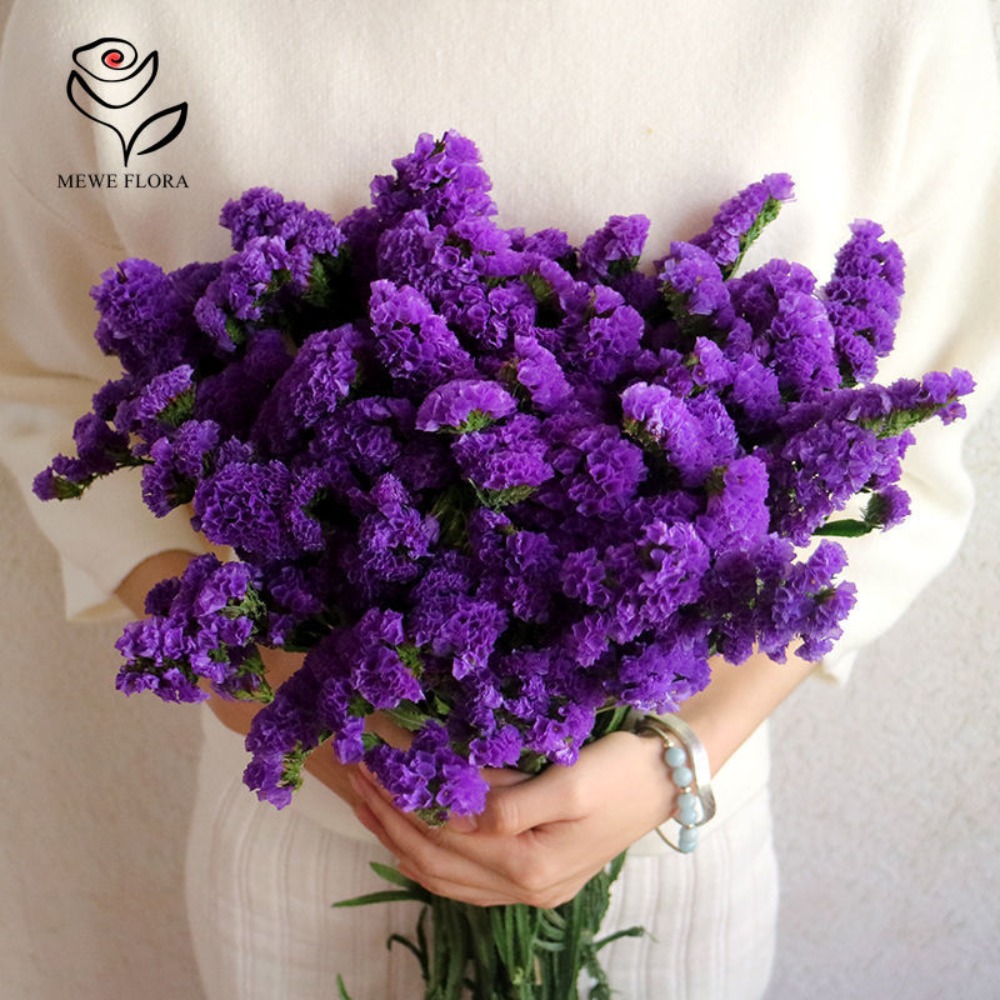 100g Dried Forget Me Not Flowe - Dried Flower Bulk reseña y precio