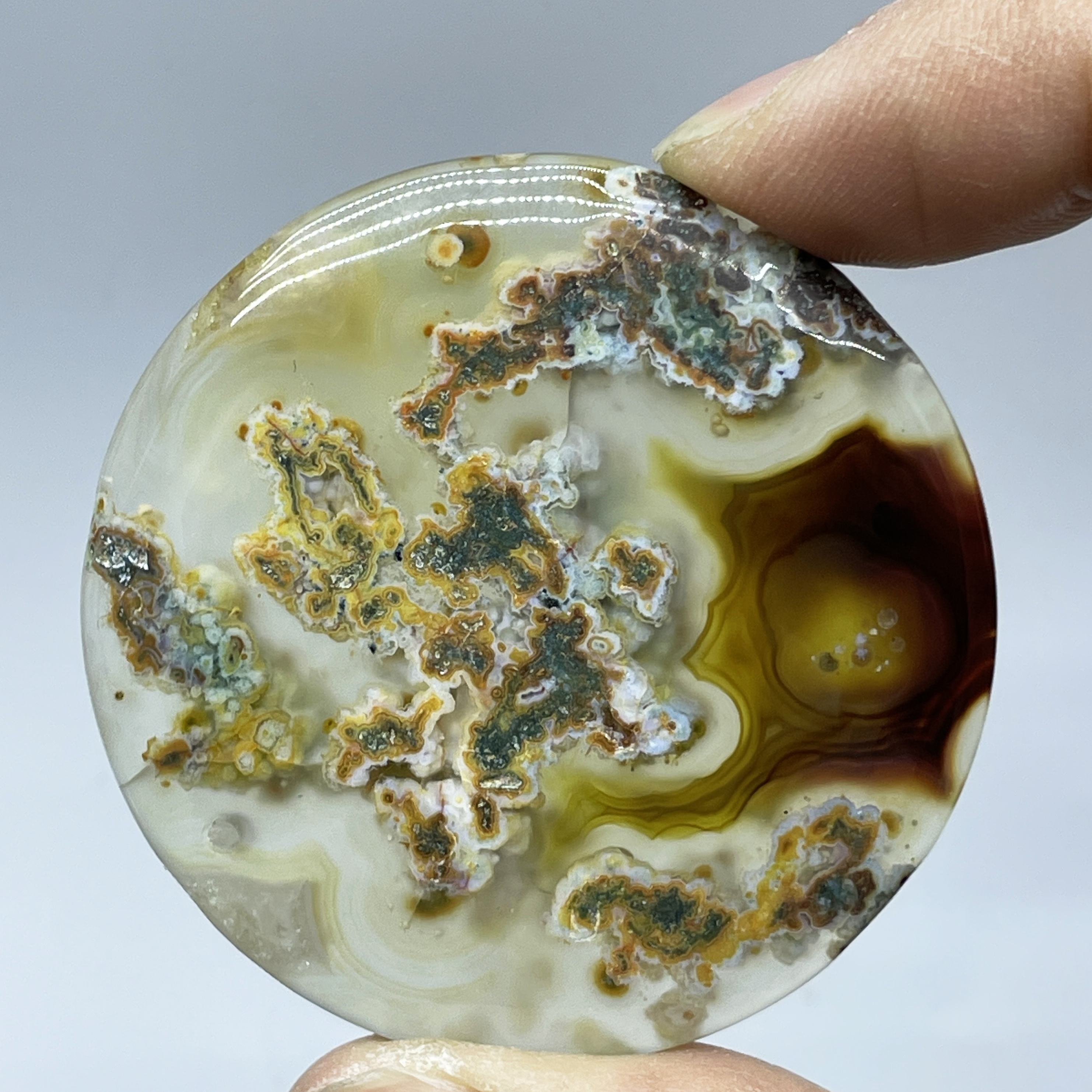 Natural Crystal Moss Agate Wat - Terrarium Moss Art reseña y precio