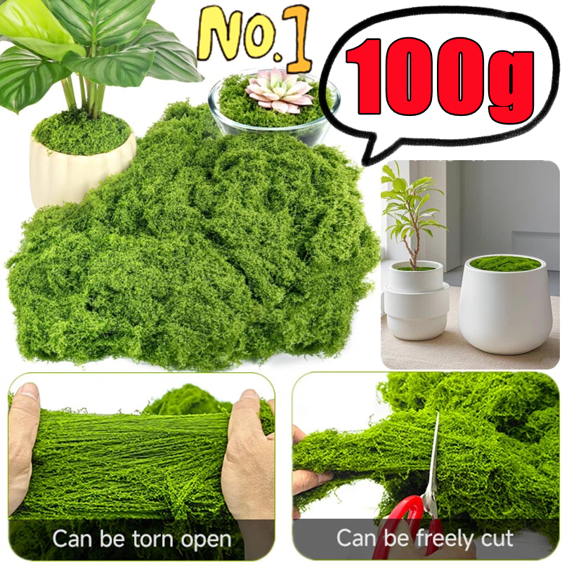 30/50/100g Fake Green Moss Art - Terrarium Moss Art reseña y precio