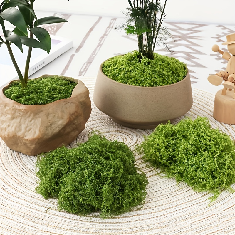 30/50/100g Fake Green Moss Art - Terrarium Moss Art reseña y precio