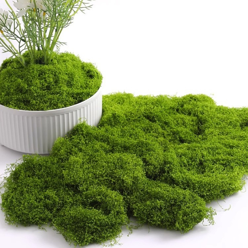 30/50/100g Fake Green Moss Art - Terrarium Moss Art reseña y precio