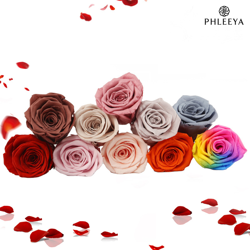 6pcs Eternal Rose Flower Heads - Dried Flower Bulk reseña y precio